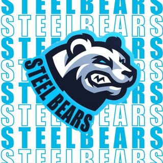 СХК «STEELBEARS» | НИТУ МИСИС