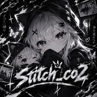 Stitch_со2