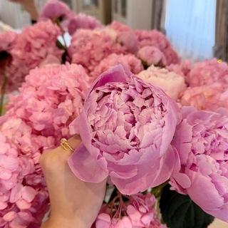 𝑴𝒊 𝒂𝒎𝒐𝒓𝒂💗