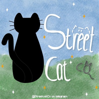 StreetCat Co.