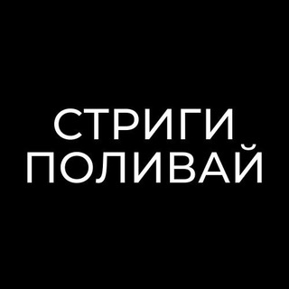 СтригиПоливай | Анатолий Хасаншин