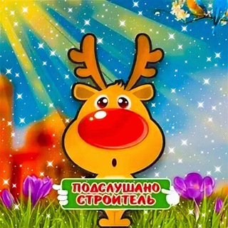 Подслушано Строитель: