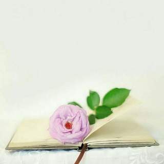 لِٰـۛৣـﯛ̲୭ز ﯛ̲୭سِٰـۛৣـڪِٰـۛৣـر