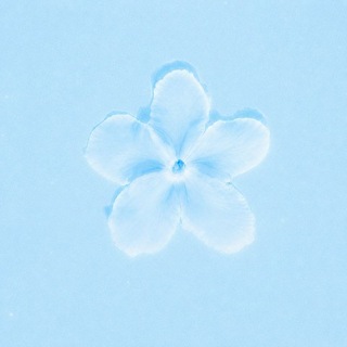 سُـدره