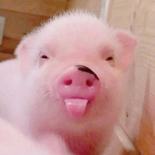 женьшеня ..⁠｡⁠*⁠♡