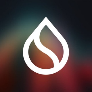 💧 Sui Foundation 🔊 News Korean