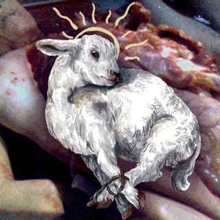 summerly ewe