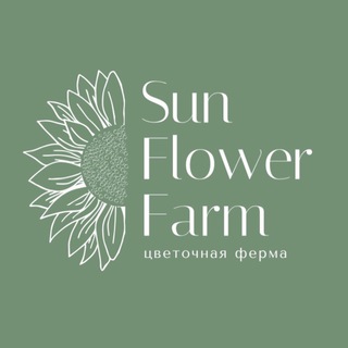 Везите все