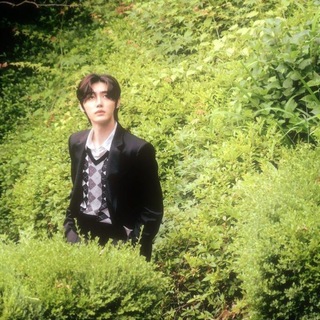 ꕤ‘Sunlit Grass