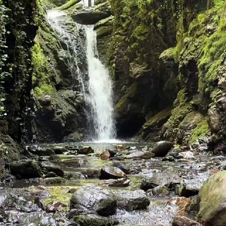 SuP🌊Сёрфинг🏄‍♂Походы ⛰Туризм🏕