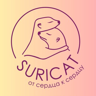 От сердца к сердцу - ПОМОЩЬ БЕЗДОМНЫМ ЖИВОТНЫМ