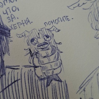 Кошачий приют