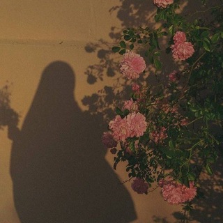 وحـيـدة گ الـقمـر 💛🌻