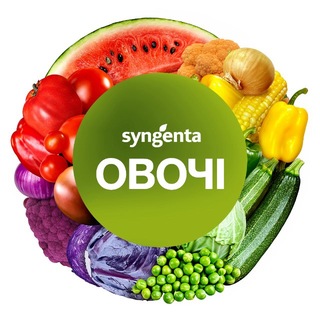 Сингента Овочі