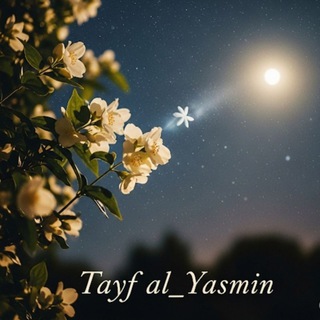 طـيـ᭓ـف آلَـيـّآًسًـ᭣ٌ᭫ᥫᩣـمِــيـن✨🤍