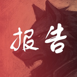 深圳野狼修车报告