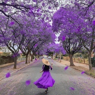 تائهه💜