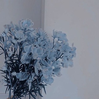 طَيــف💙🦋