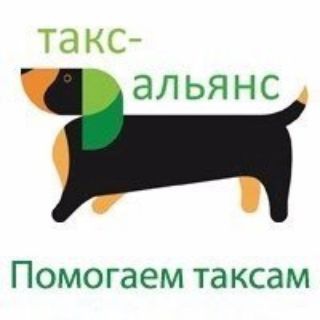 Такс-Альянс СПб