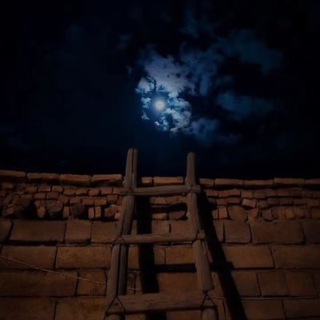 قناة طلال العنزي
