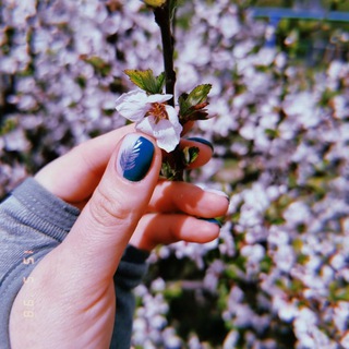 Гайды, стикеры, вдохновление 💚