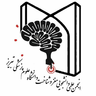 Brain&Cognition | مغز و شناخت