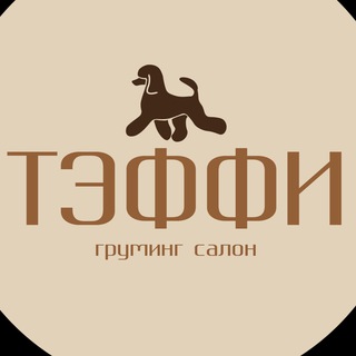 Стрижка груминг собак Калининград