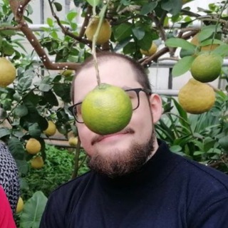 телега для ночьлега