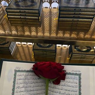 تِلَاوَات خَاشِعَه 🌿💚