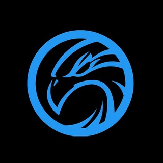 𝗧𝗛𝗘 𝗙𝗔𝗟𝗖𝗢𝗡𝗦 ᆯ