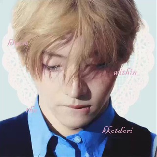 the kkotdori ✿