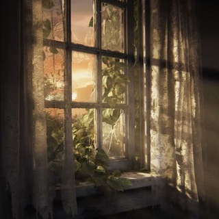 The last of us