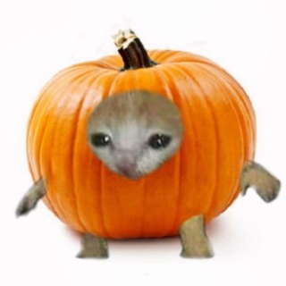 тео лол 🐶🎃