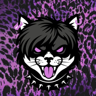 🎸 THE REAL KITTY 💊