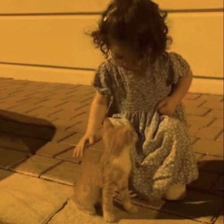 ﮼نَبـضُ،القَصيد .