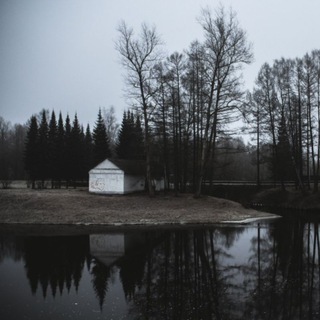 Тихвин и его окрестности🌲