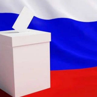 Выборы в Шарканском районе