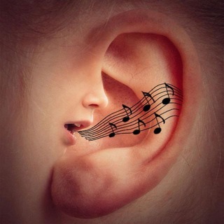 𝕋𝕚𝕟𝕟𝕚𝕥𝕦𝕤 𝕂𝕒𝕟𝕒𝕝 👂🎶