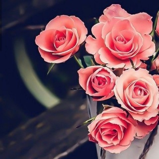🌹رَفِيْقُ اَلْدَرْبِ🌹