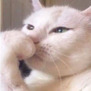 rent acc, dm, apk prem open oki