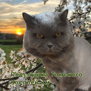 🎹Подслушано Томским косплейкм️🎧