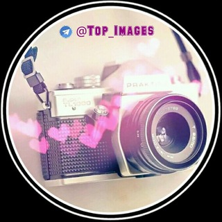 💯 ₸σp ᶤmαġзṣ ♬ ❀