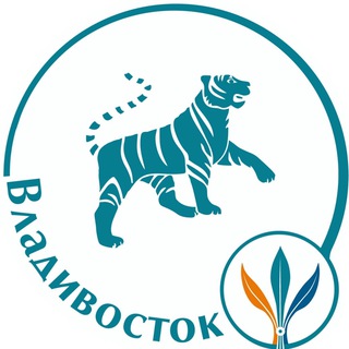 ТОП ВЛАДИВОСТОК, Институт Интеграция