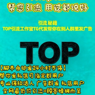 流 量 大 王