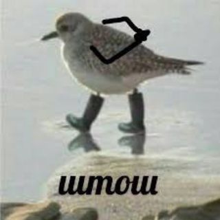Токсично‑хаотичный 🙃