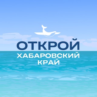 Туристский информационный центр. Открой Хабаровский край