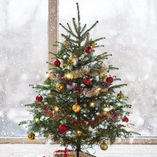 ♡🌳Дерево украшений💍♡