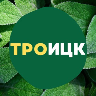 Троицк ТиНАО / Новая Москва