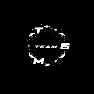 TSMTEAM