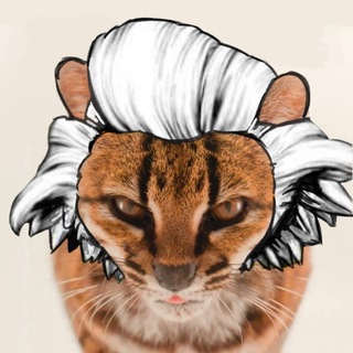 Tuhaochi